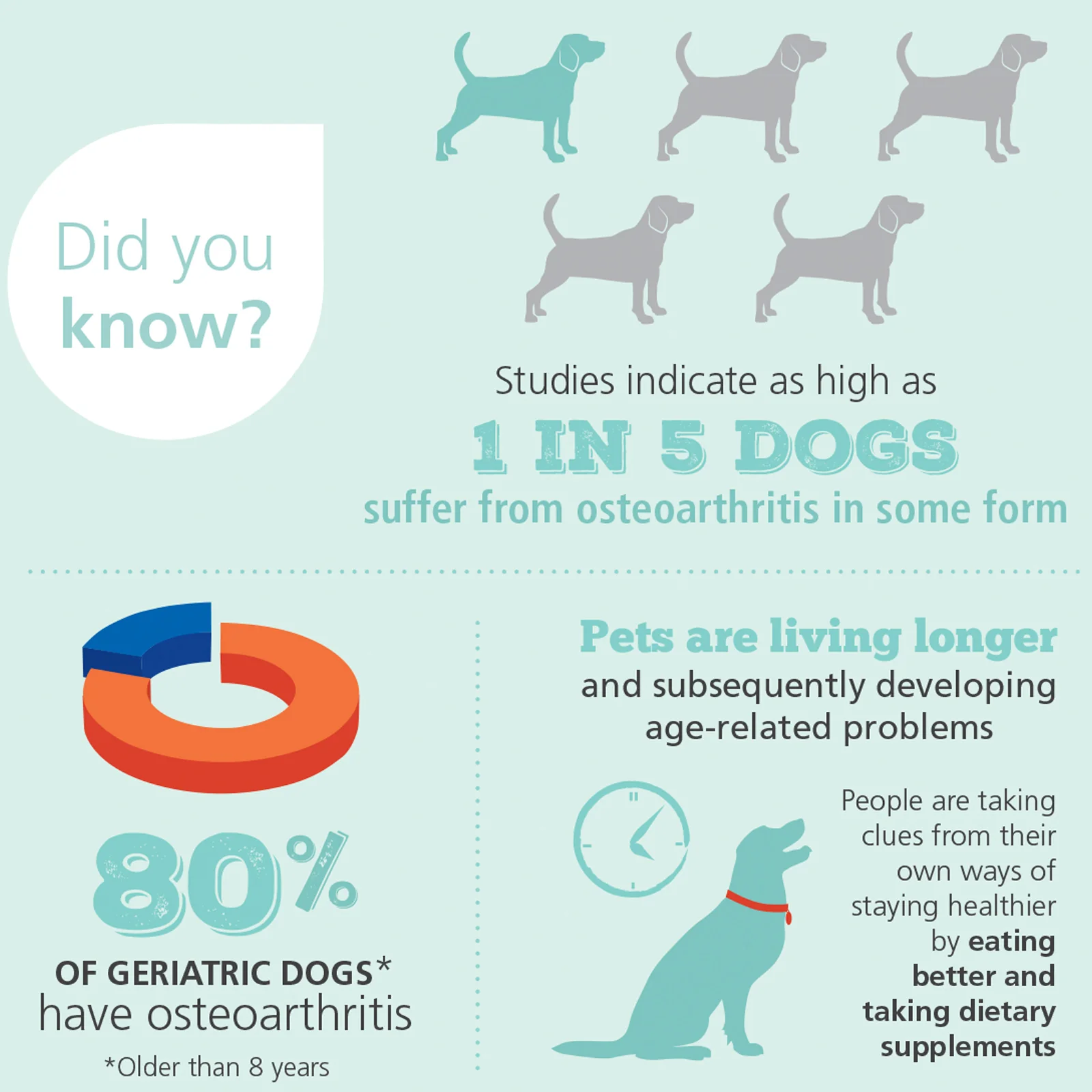 4CYTE Canine Joint Support Supplement - Image 4