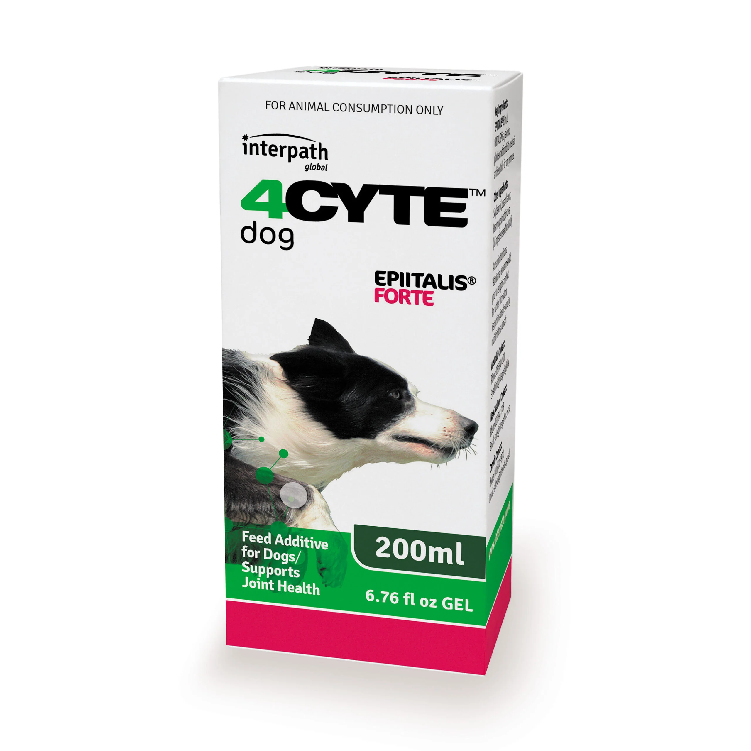 4CYTE Epiitalis Forte Gel for Dogs - Image 2