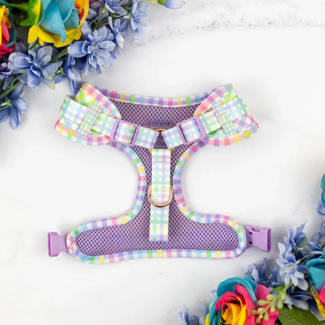 Adjustable Dog Harness Rainbow Gingham - Image 3
