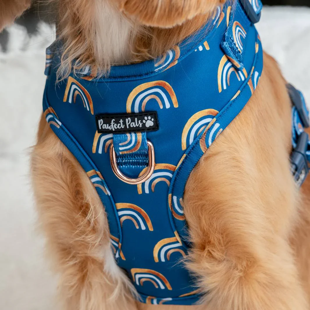 Adjustable Dog Harness Wild at Heart - Image 3