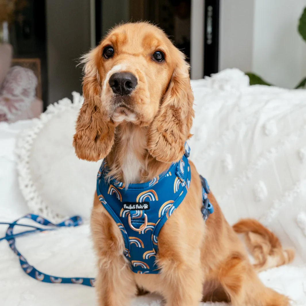 Adjustable Dog Harness Wild at Heart - Image 4