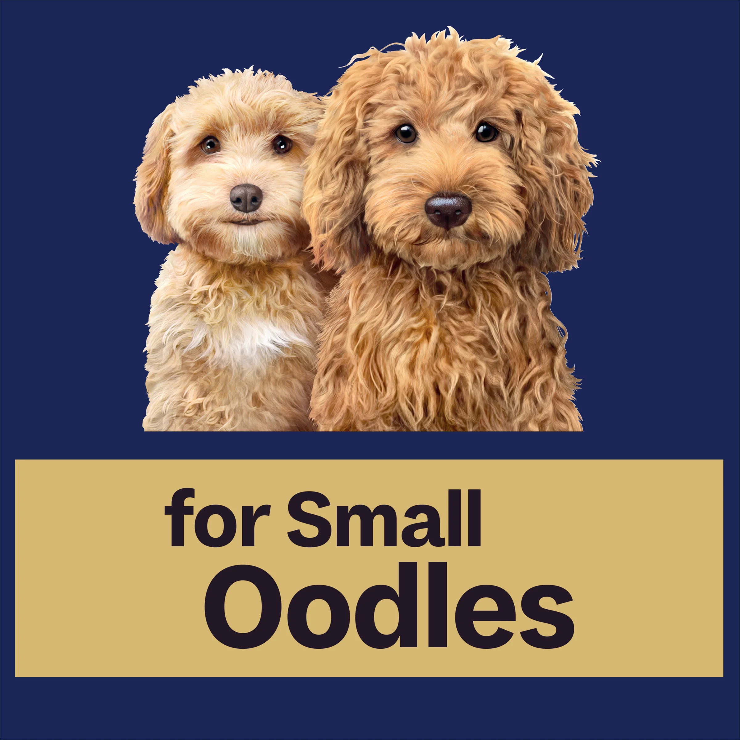 Advance Dog Adult Small Oodles Salmon with Rice Dry Dog Food - Image 5