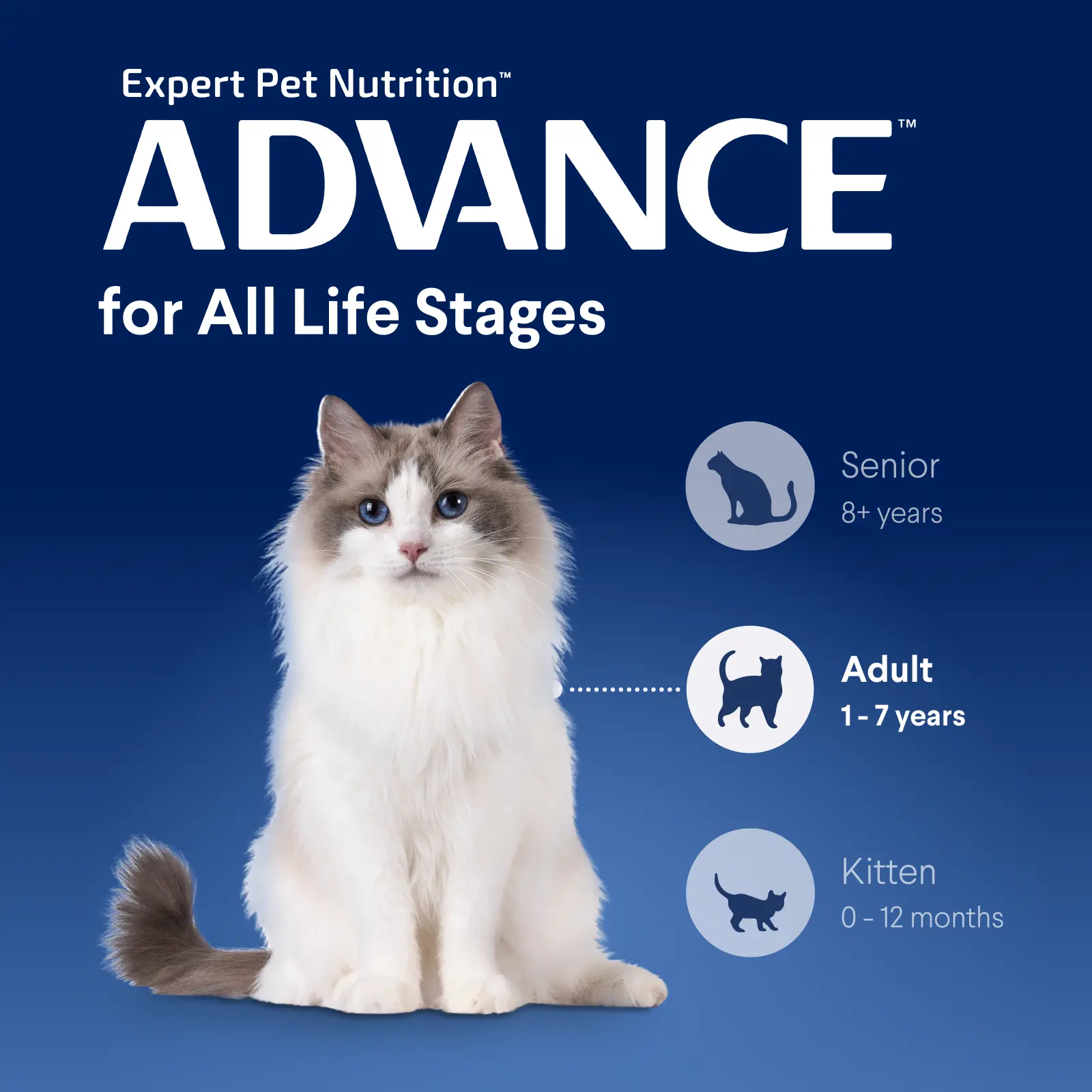Advance Dry Cat Adult Hairball Chicken - Image 4