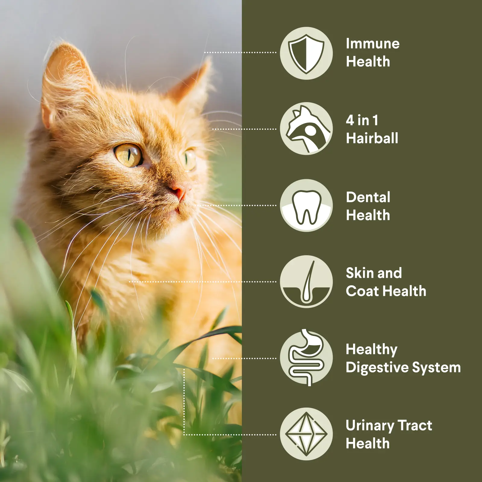 Advance Dry Cat Adult Hairball Chicken - Image 8
