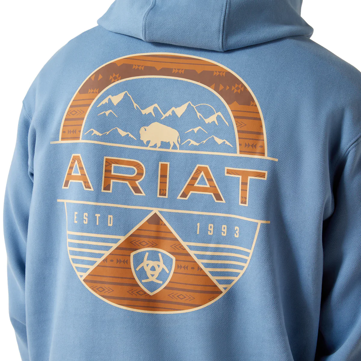 Ariat Boys Sun Valley Circle Hoodie - Image 2