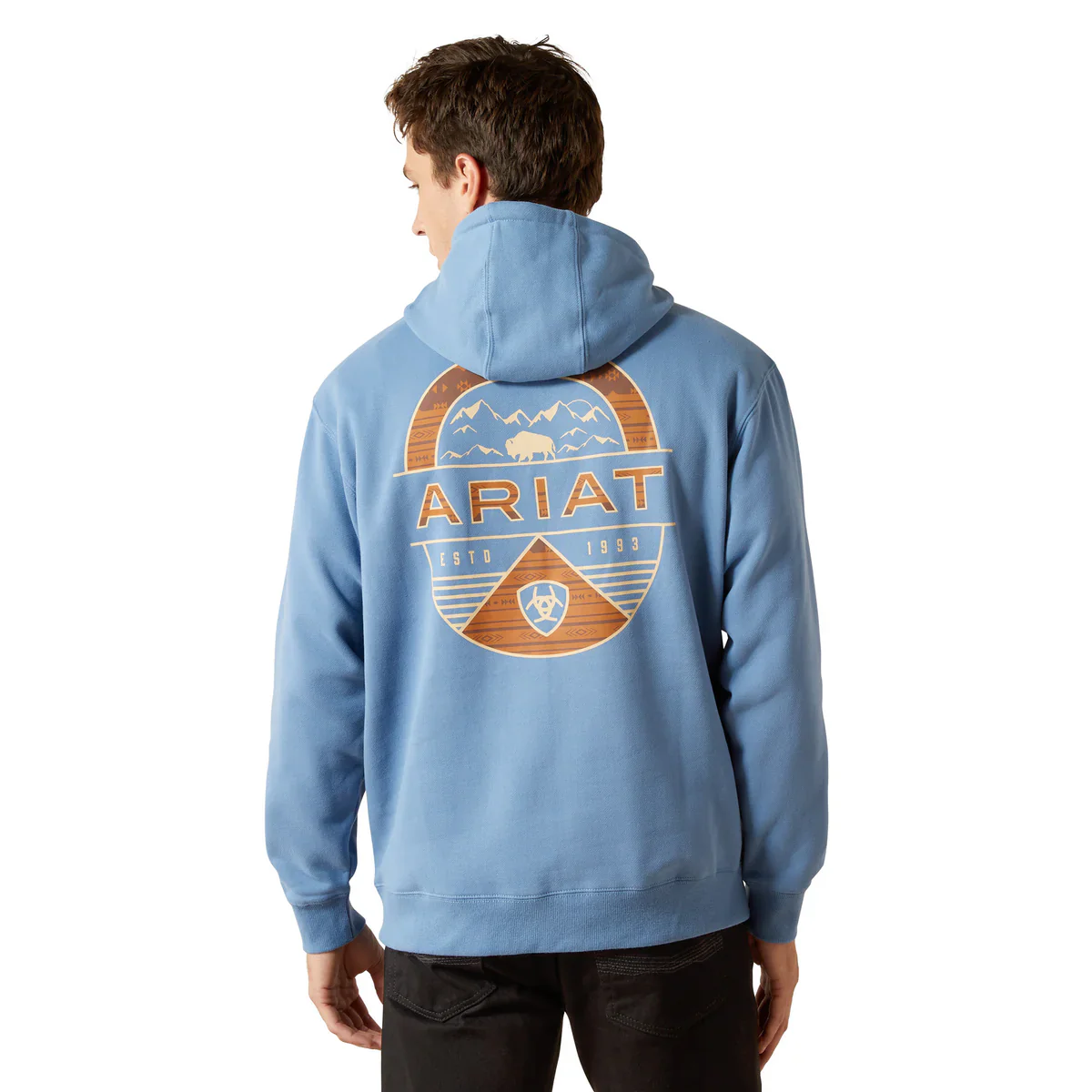 Ariat Boys Sun Valley Circle Hoodie - Image 4