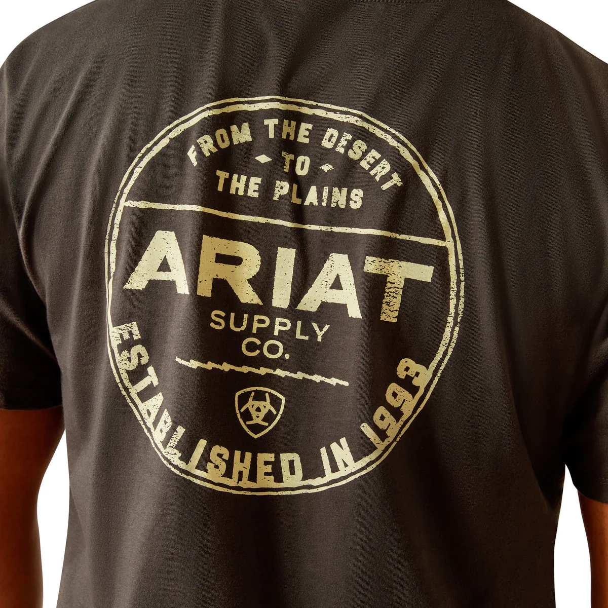 Ariat Mens Explore Circle SS Tee - Image 6