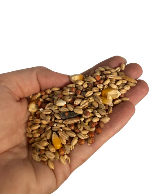 Avigrain Budget Wild Bird Mix - Image 3