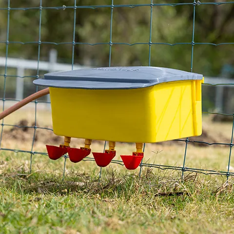 Bainbridge Automatic Chook Waterer - Image 2