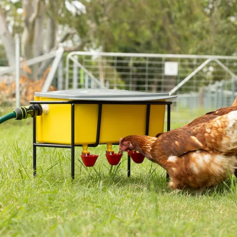 Bainbridge Automatic Chook Waterer - Image 6