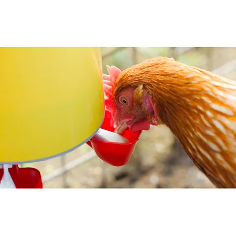 Bainbridge Chook Tower Drinker - Image 3