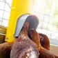 Bainbridge Chook Tower Feeder - Image 2