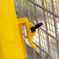 Bainbridge Chook Tower Feeder - Image 4