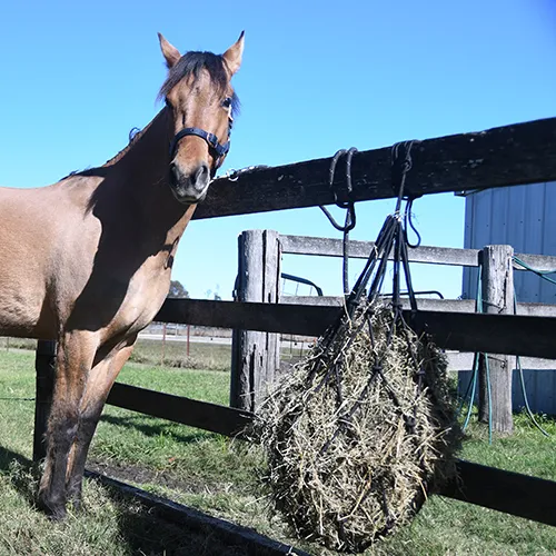 Bainbridge Hay Net Rope Heavy Duty - Image 2