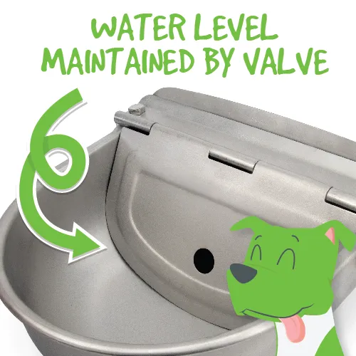 Bainbridge Stainless Automatic Drinking Bowl - Image 2