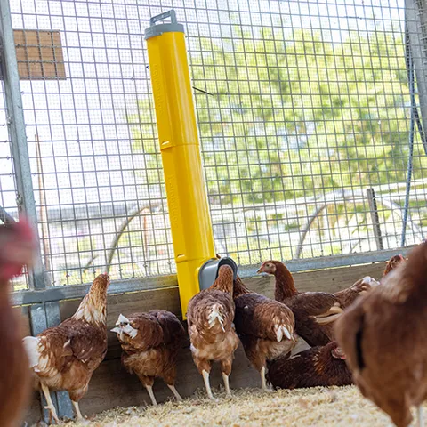 Bainbridge Tube Extension for Chook Tower Feeder - Image 2