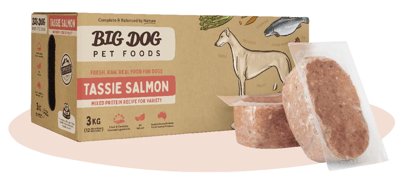 Big Dog BARF Diet Salmon - Image 2