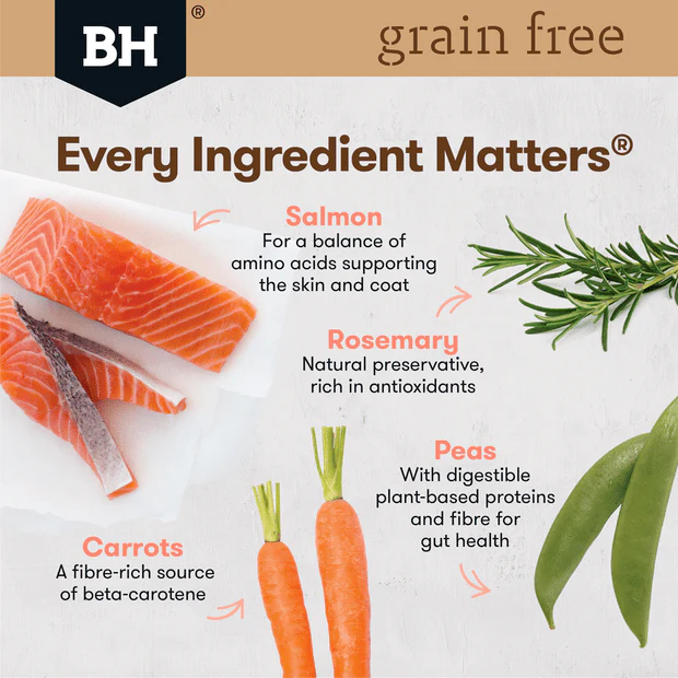 Black Hawk Grain Free Adult Salmon Dry Dog Food - Image 5