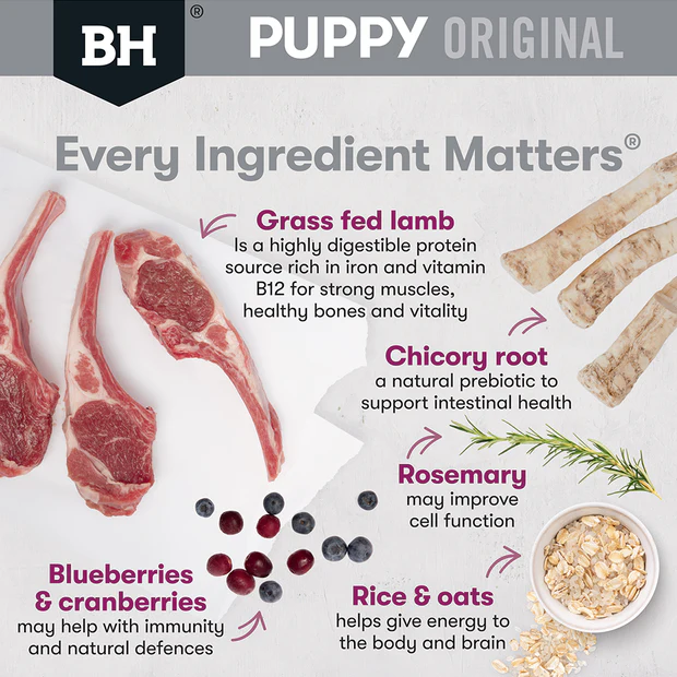 Black Hawk Puppy Medium Breed Lamb and Rice Dry Dog Food - Image 3