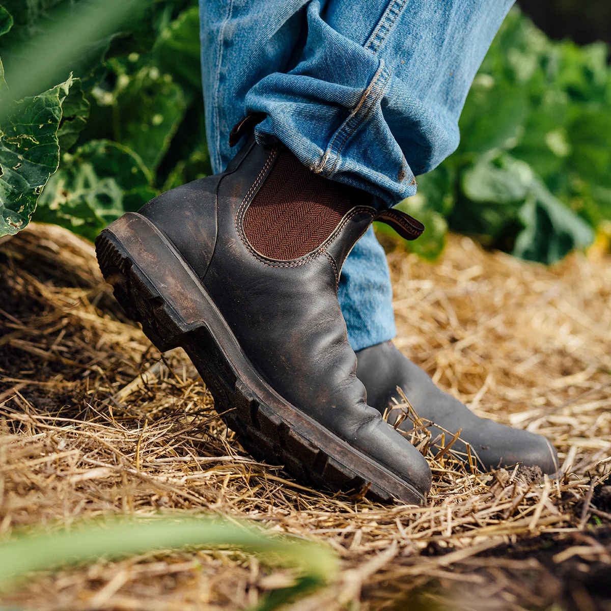 Blundstone Boot 600 - Image 5