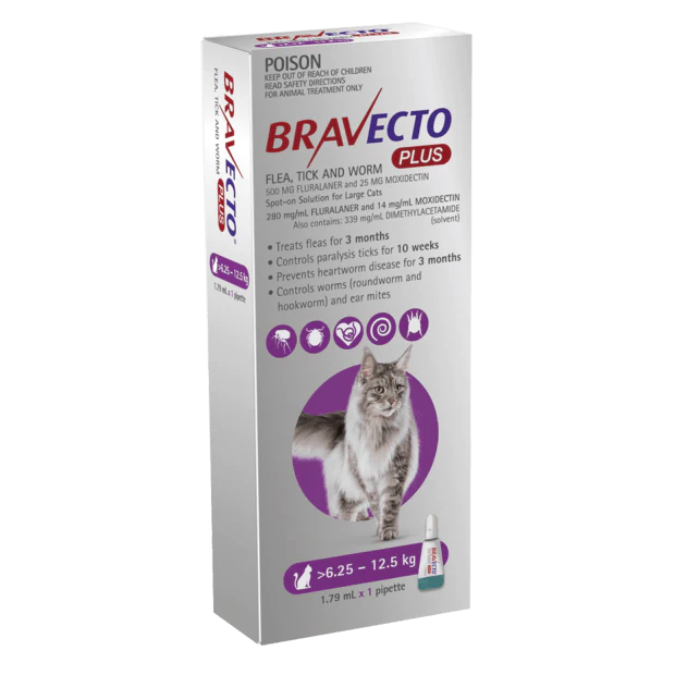Bravecto Plus for Large Cats 6-12kg Purple