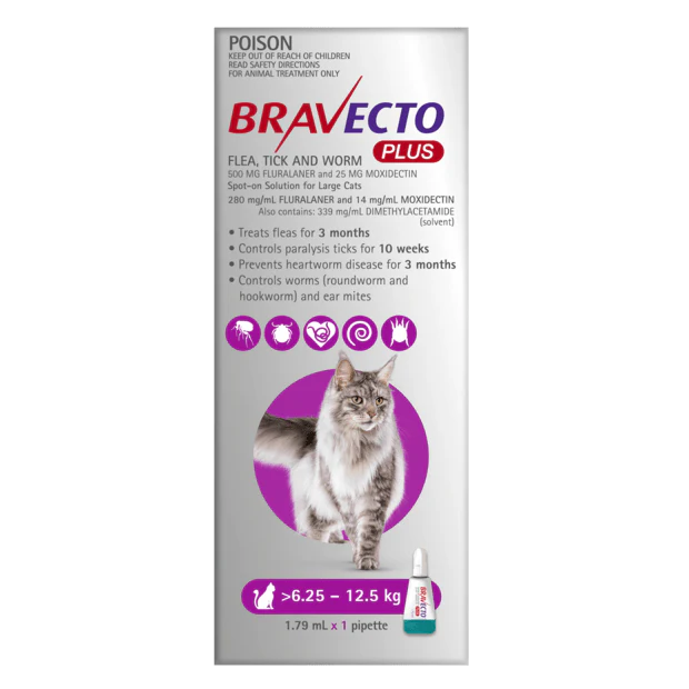 Bravecto Plus for Large Cats 6-12kg Purple - Image 2