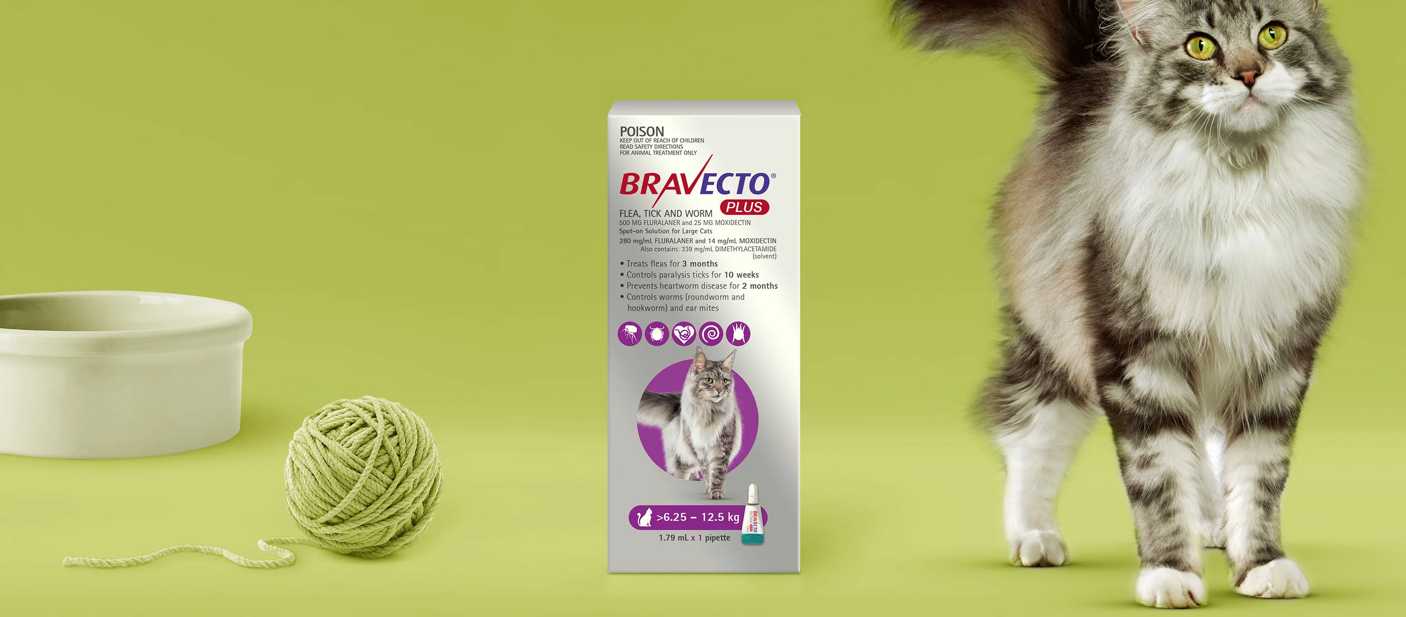Bravecto Plus for Large Cats 6-12kg Purple - Image 4