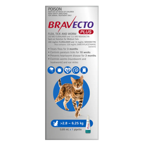 Bravecto Plus for Medium Cats 2-6kg Blue - Image 2