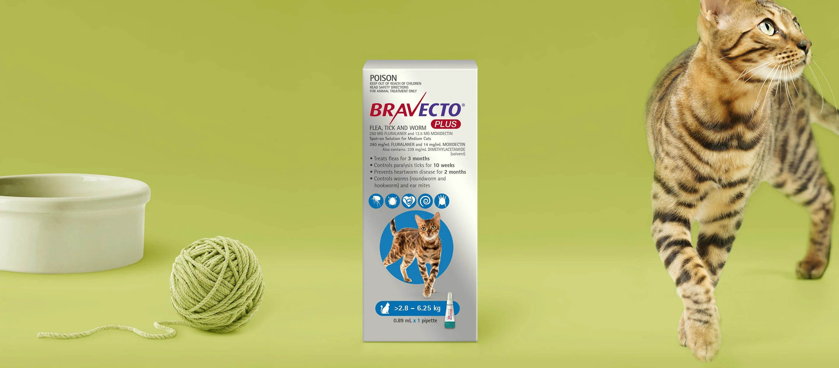 Bravecto Plus for Medium Cats 2-6kg Blue - Image 4