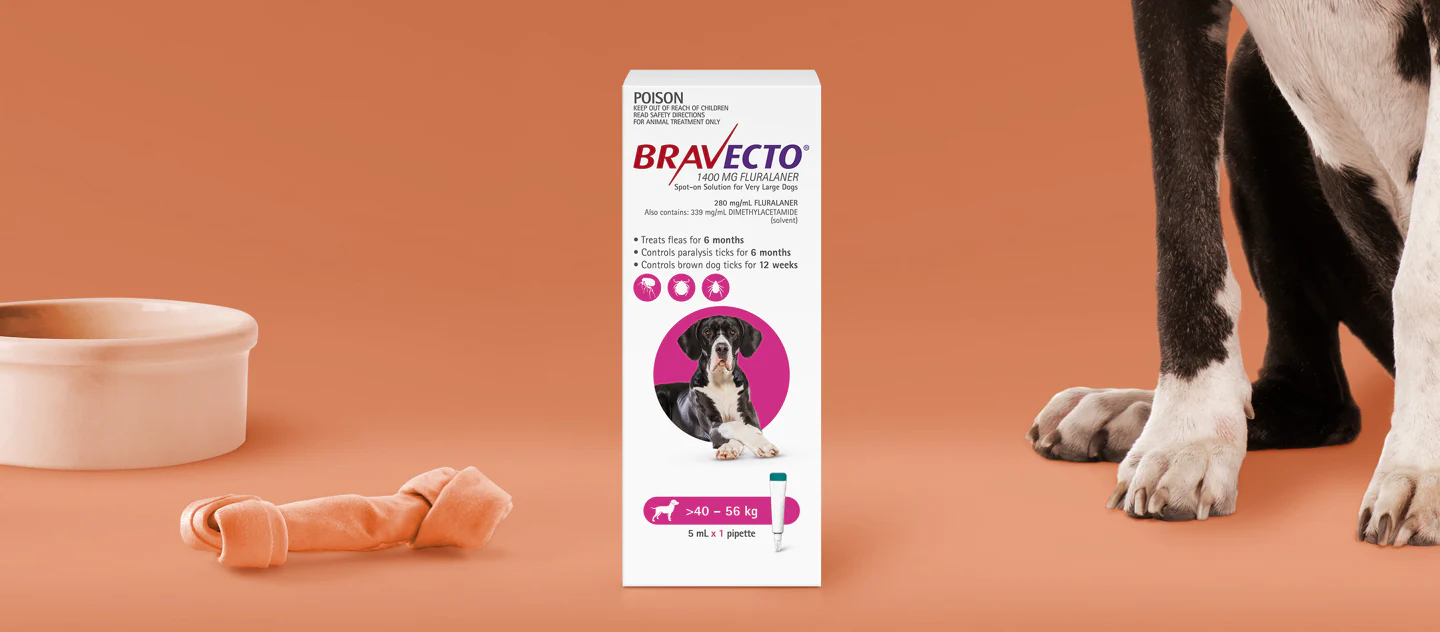 Bravecto Spot On for Extra Large Dogs 40-56kg Pink - Image 3
