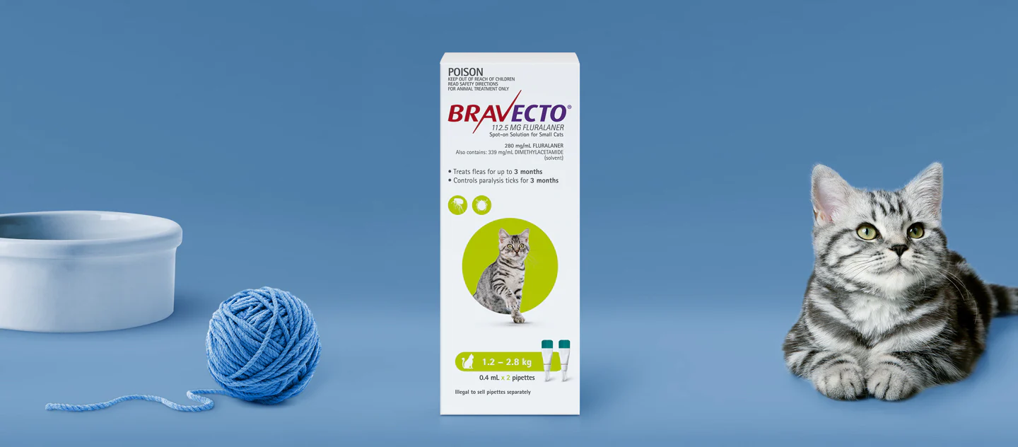Bravecto Spot On for Small Cats 1-2.8kg Green - Image 2