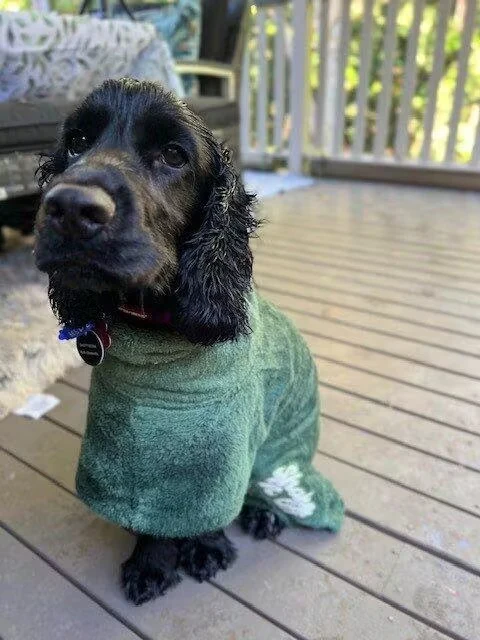 Brookies Dog Robe - Image 4