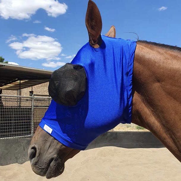 Buggez Bugeye Fly Mask with Insect Mesh - Image 4