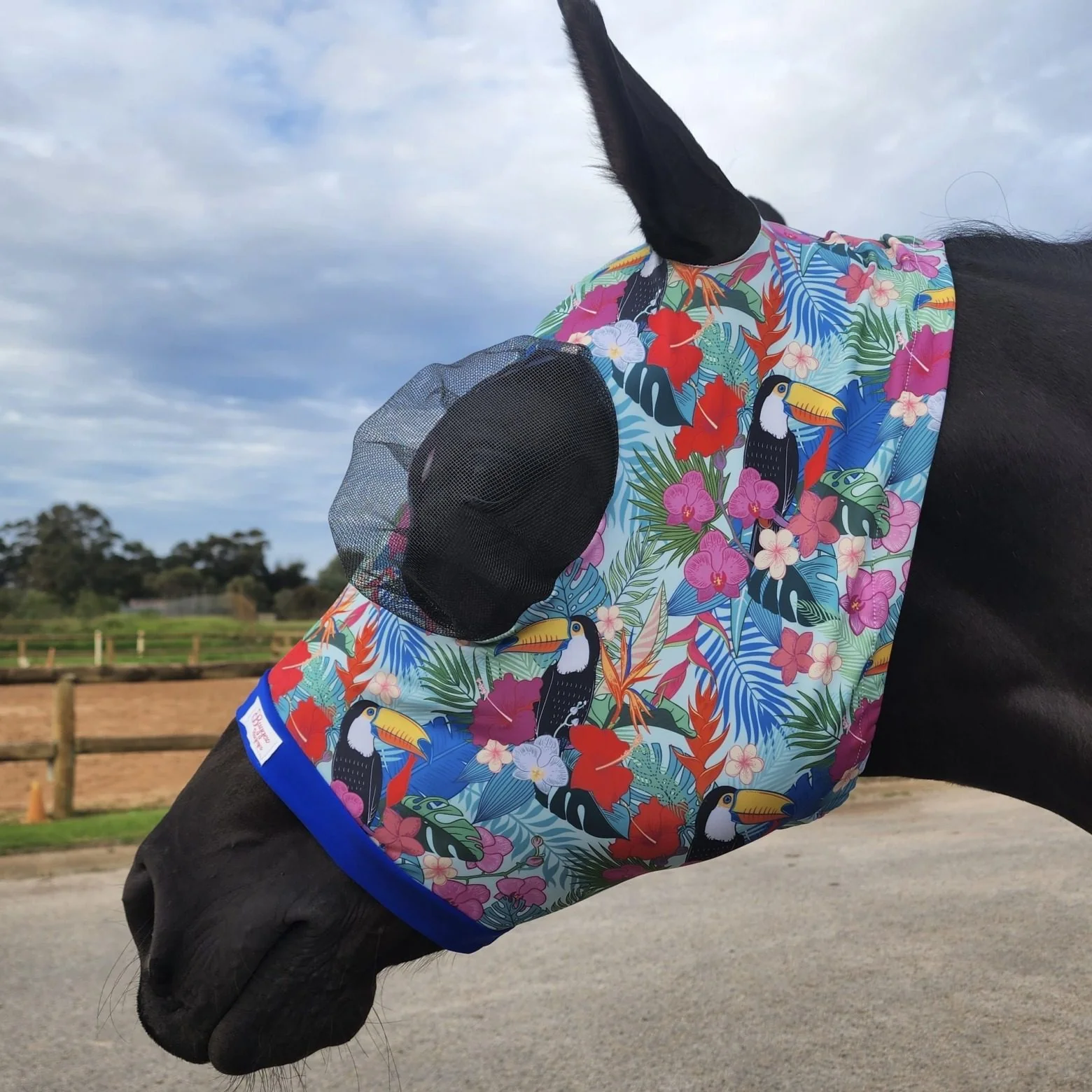 Buggez Bugeye Fly Mask with Insect Mesh - Image 7