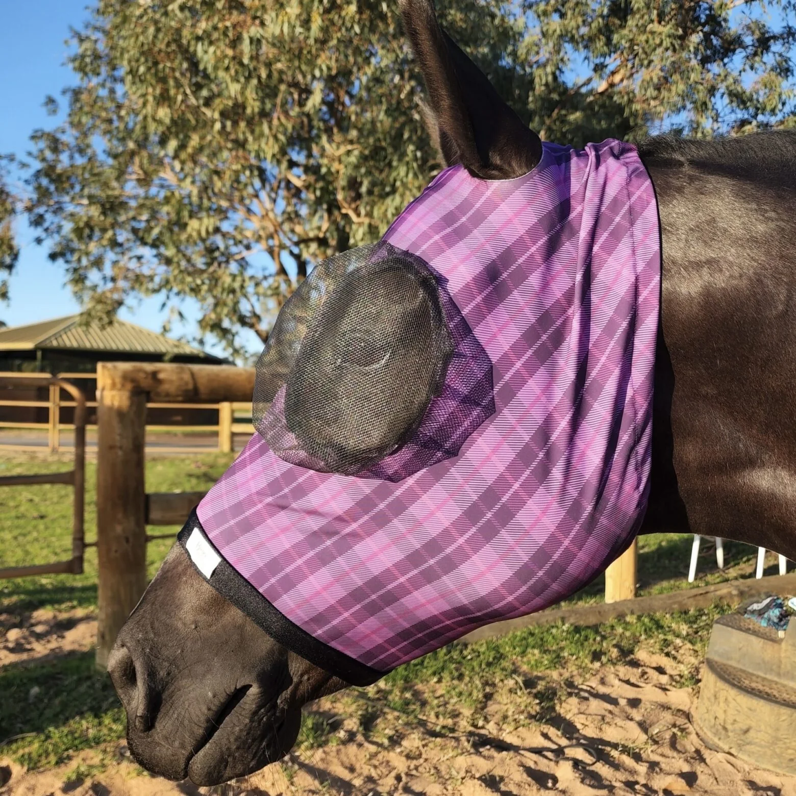 Buggez Bugeye Fly Mask with Tough Mesh - Image 3