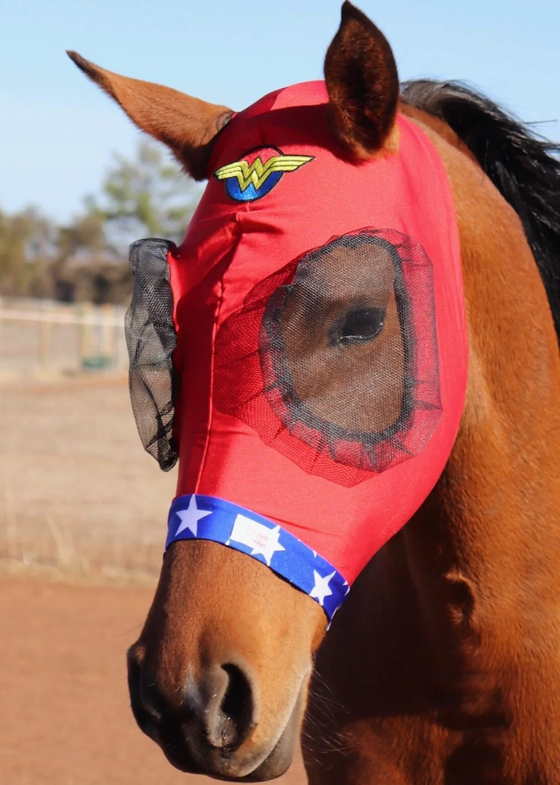 Buggez Bugeye Fly Mask with Tough Mesh - Image 4
