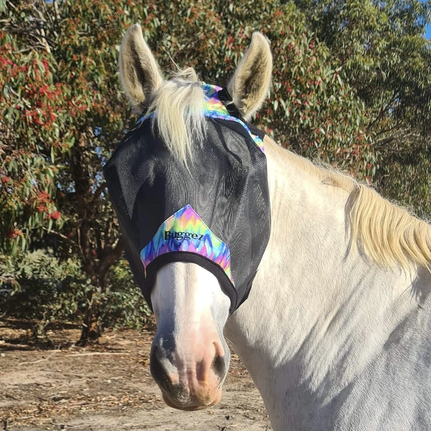 Buggez Mesh Fly Mask with Nose and Insect Mesh Ears - Image 2