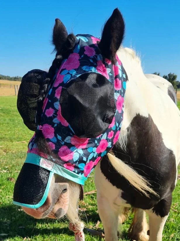 Buggez Mesh Fly Mask with Nose and Insect Mesh Ears - Image 5