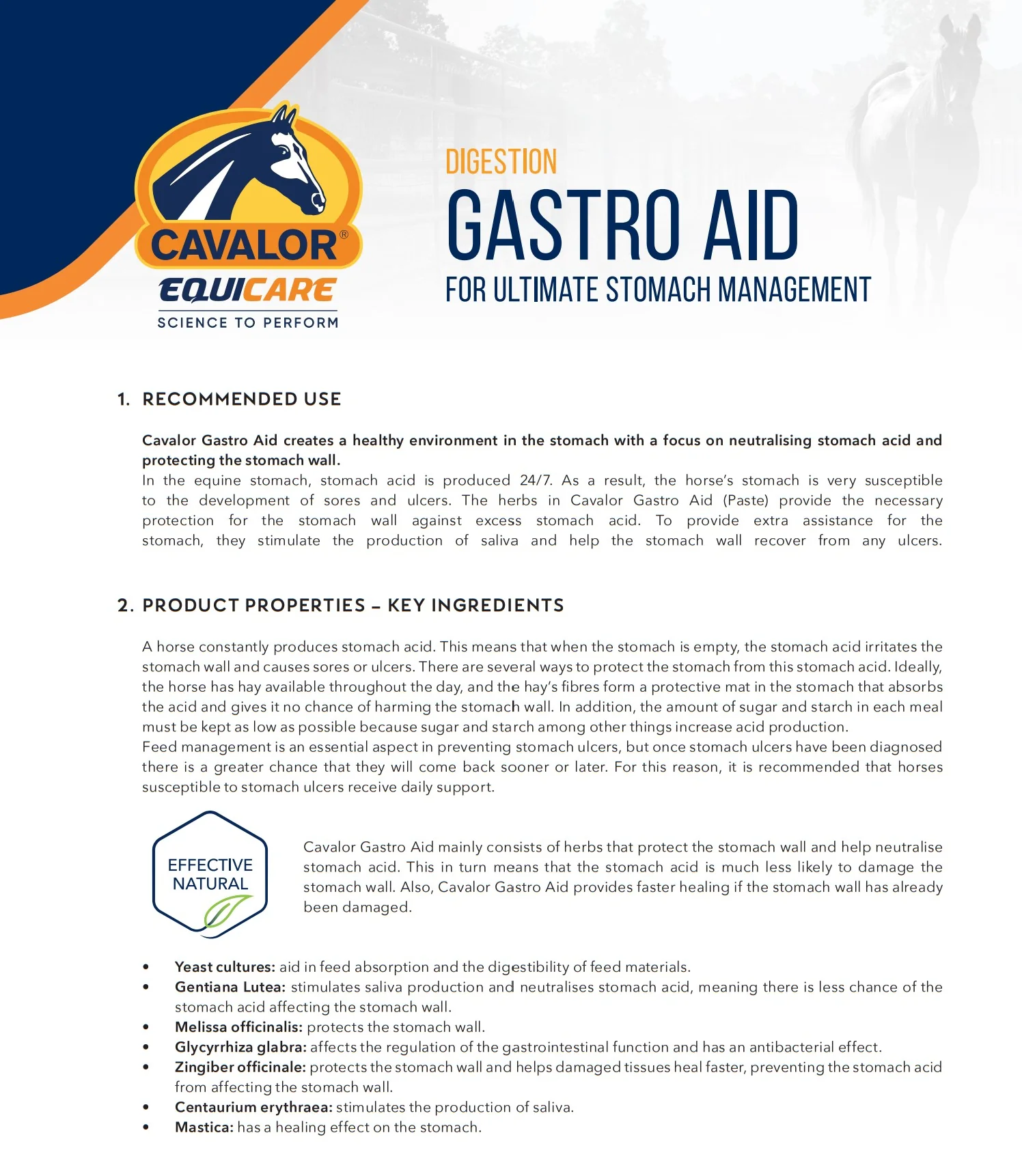 Cavalor Gastro Aid Paste - Image 3