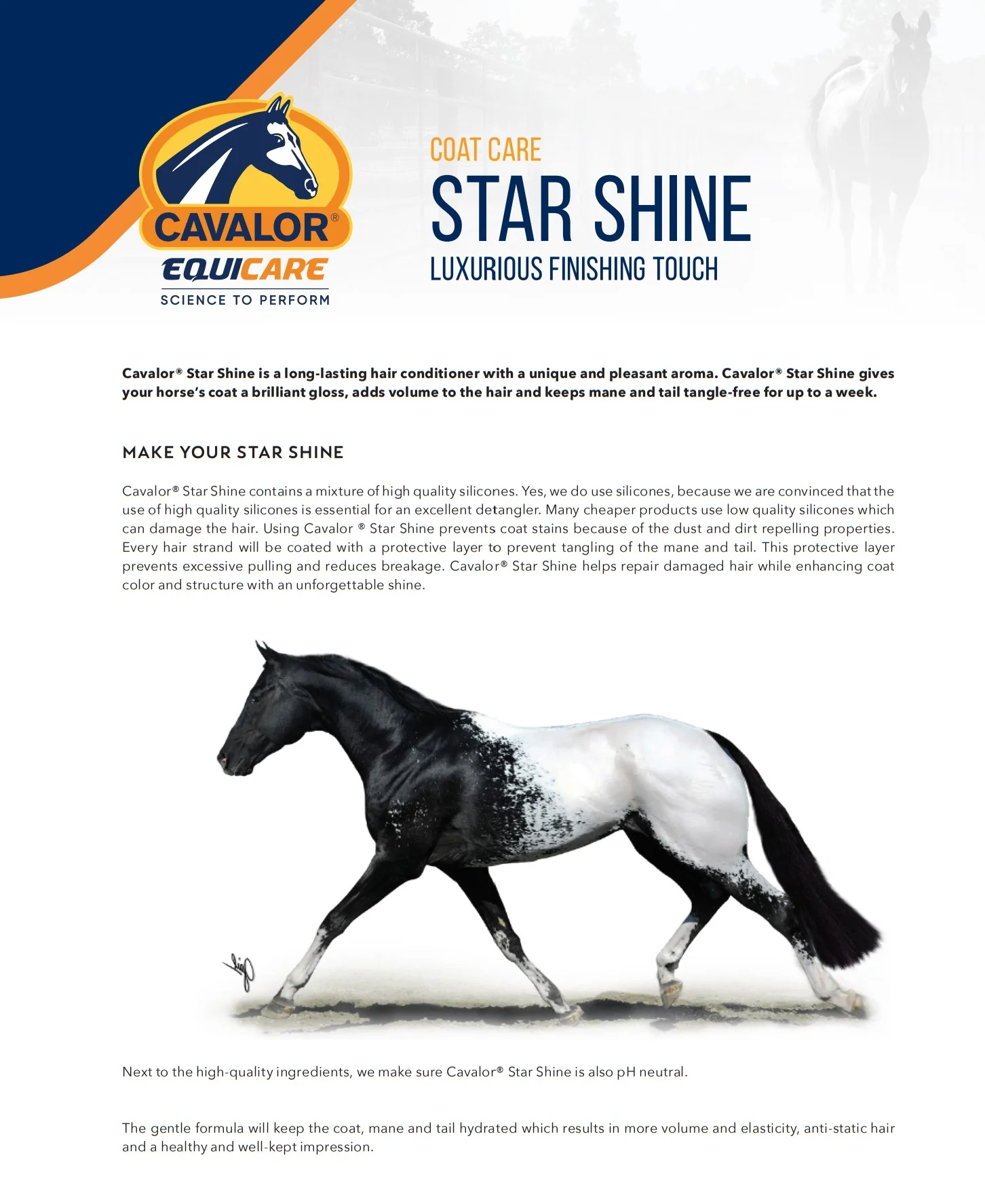 Cavalor Star Shine - Image 2