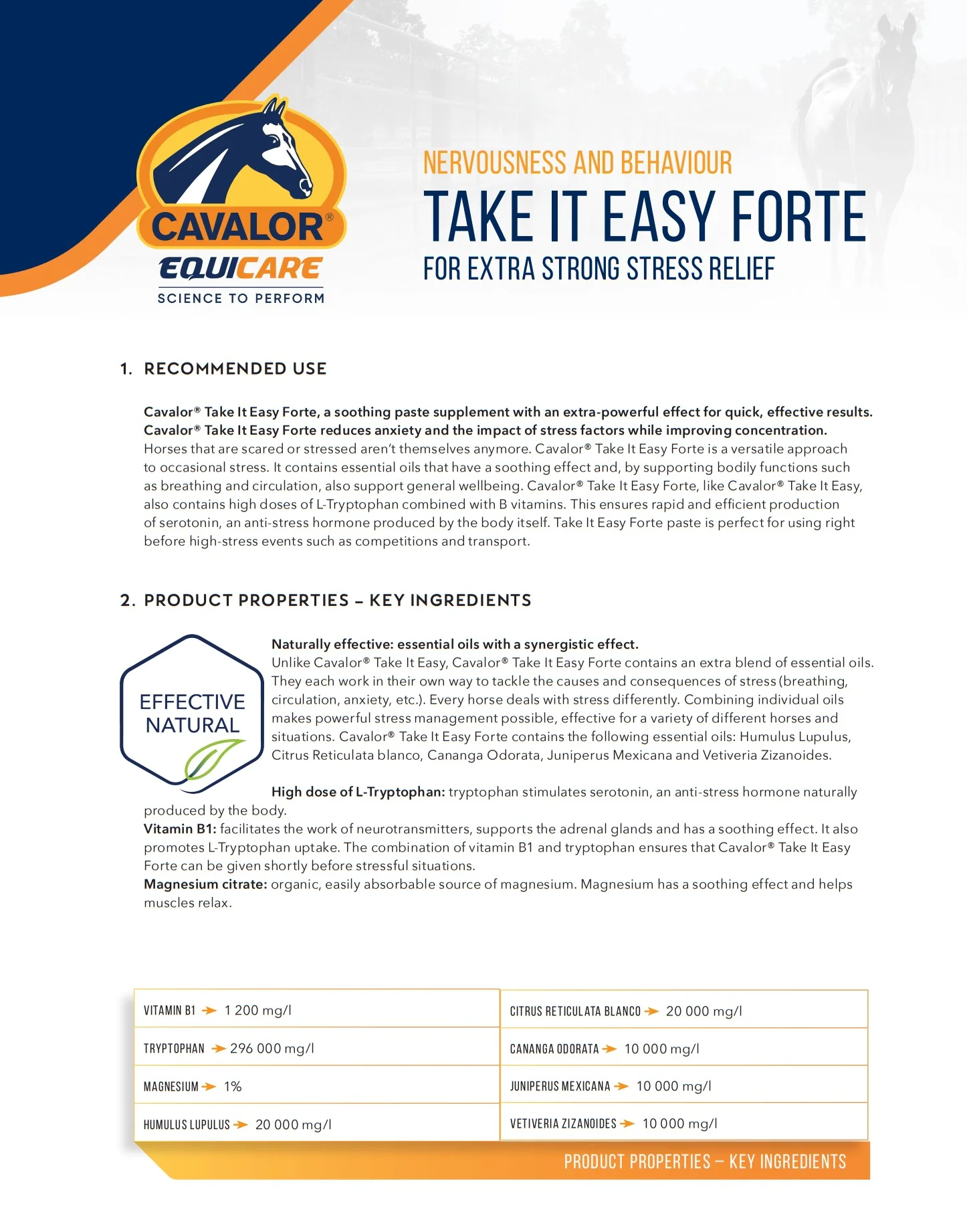 Cavalor Take it Easy Forte Paste - Image 3