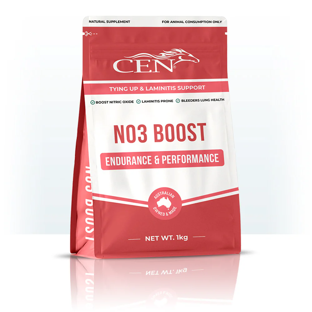 CEN NO3 Boost - Image 4