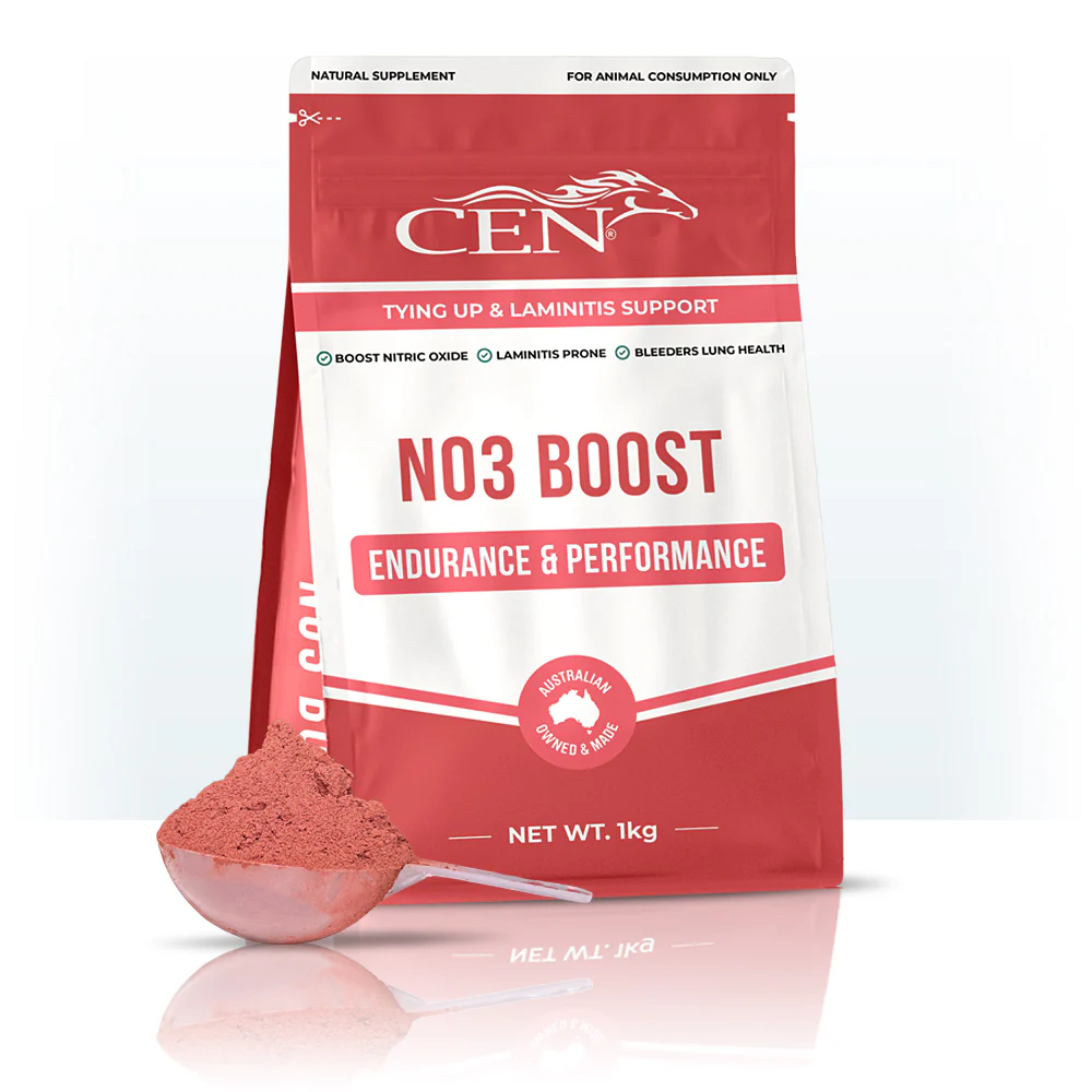 CEN NO3 Boost - Image 6