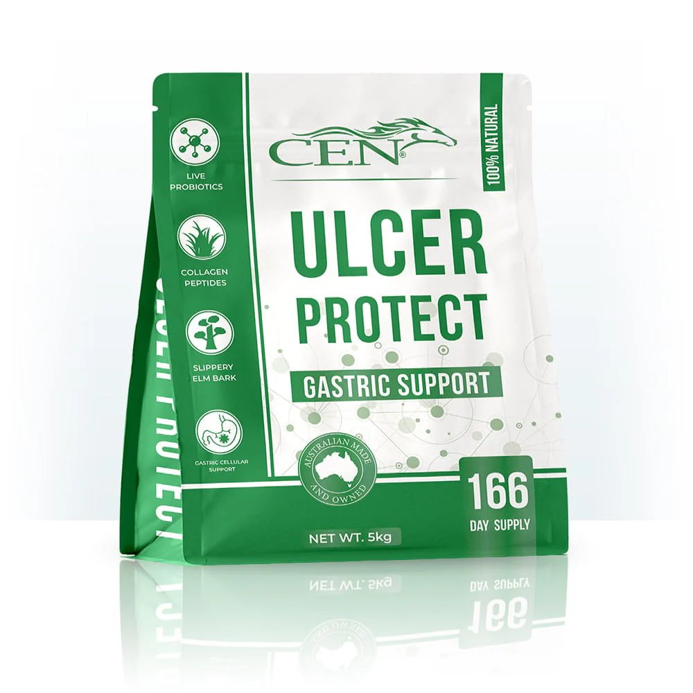 CEN Ulcer Protect - Image 2