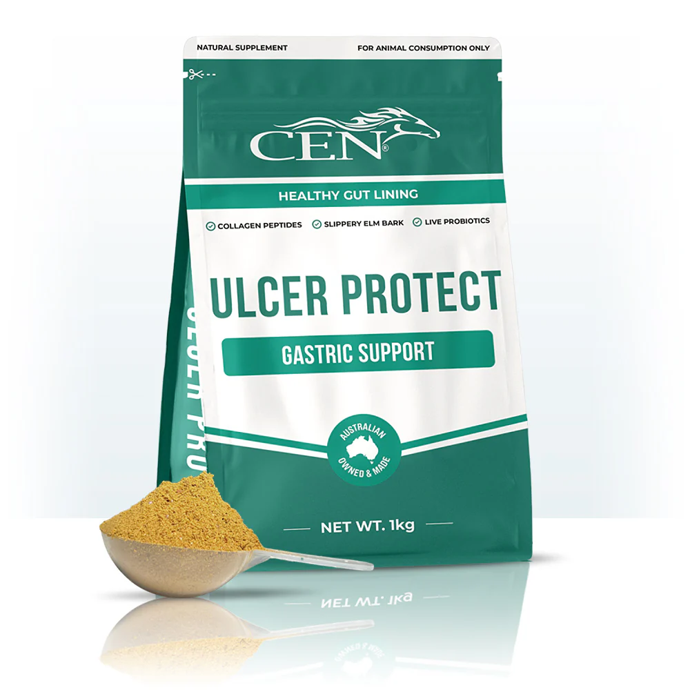 CEN Ulcer Protect - Image 3