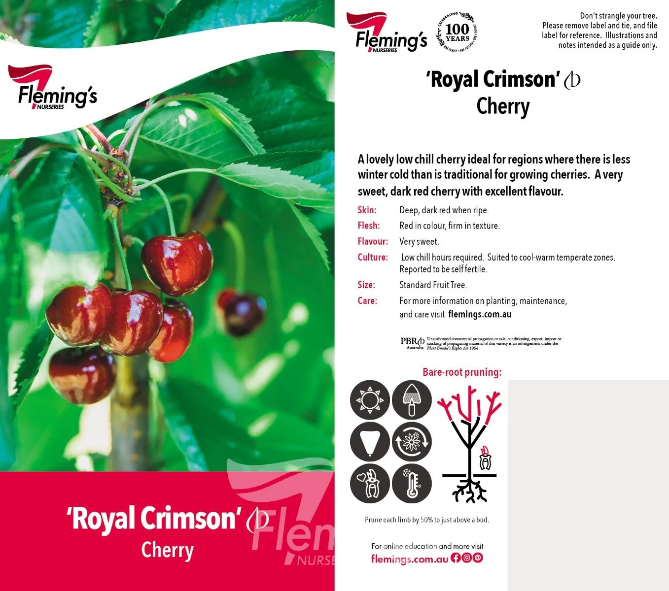 Cherry Tree - Royal Crimson - Image 2