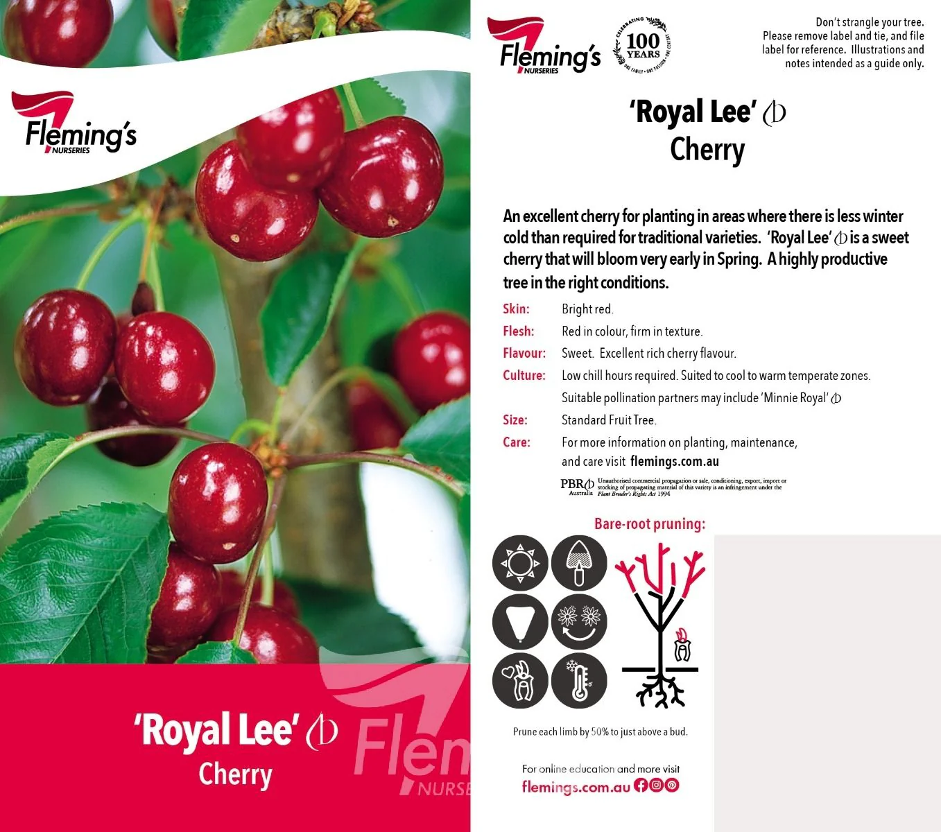 Cherry Tree - Royal Lee - Image 2