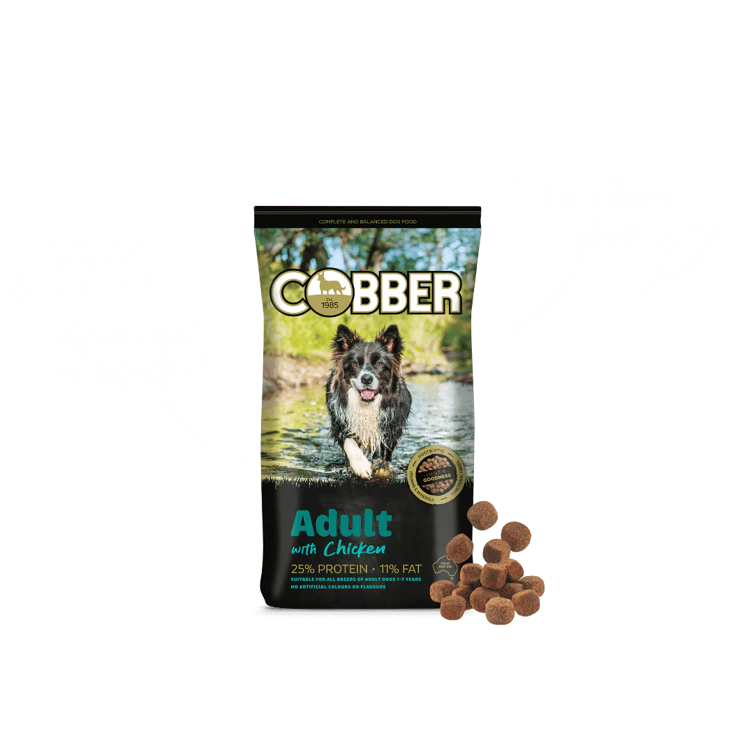 Cobber Adult with Chicken Dry Dog Food - Image 2