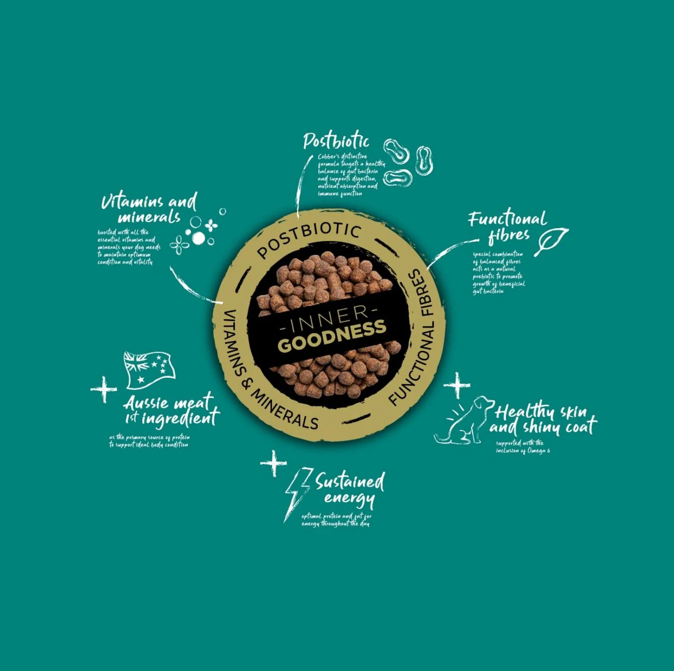 Cobber Adult with Chicken Dry Dog Food - Image 3