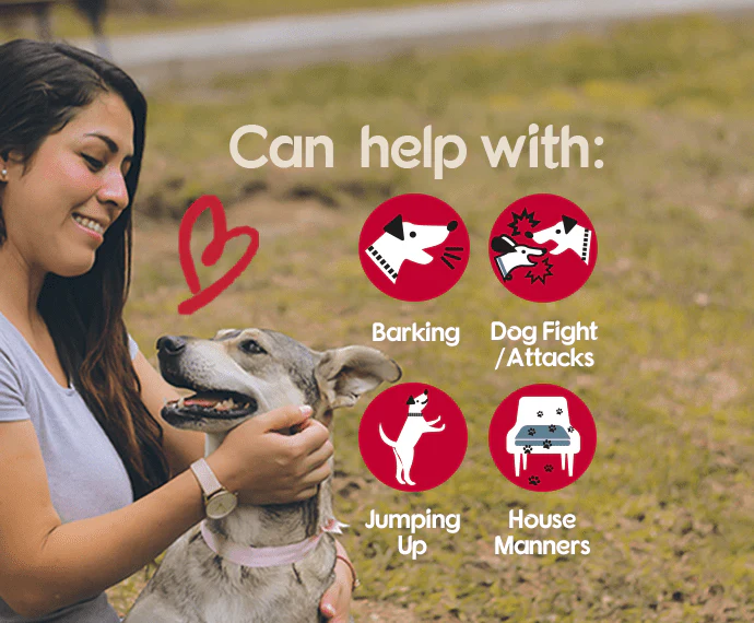 Company of Animals Pet Corrector - Image 2